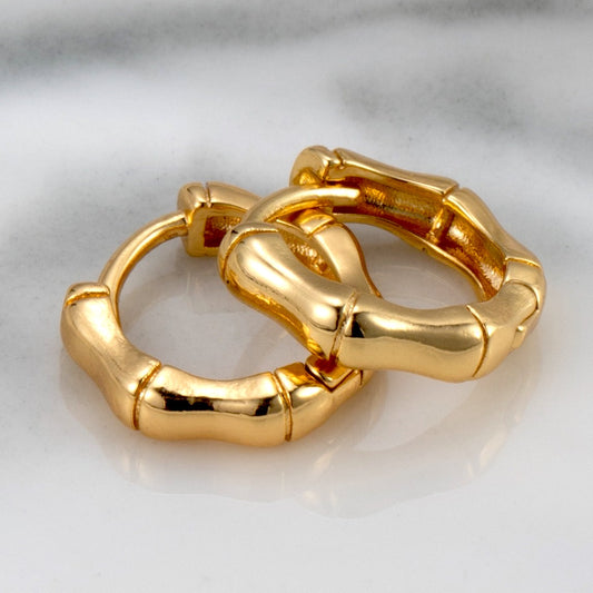 Exquisite Hoop Earrings for Women